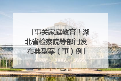 事关家庭教育！湖北省检察院等部门发布典型案（事）例